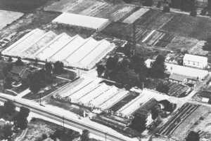 1940 Aerial View